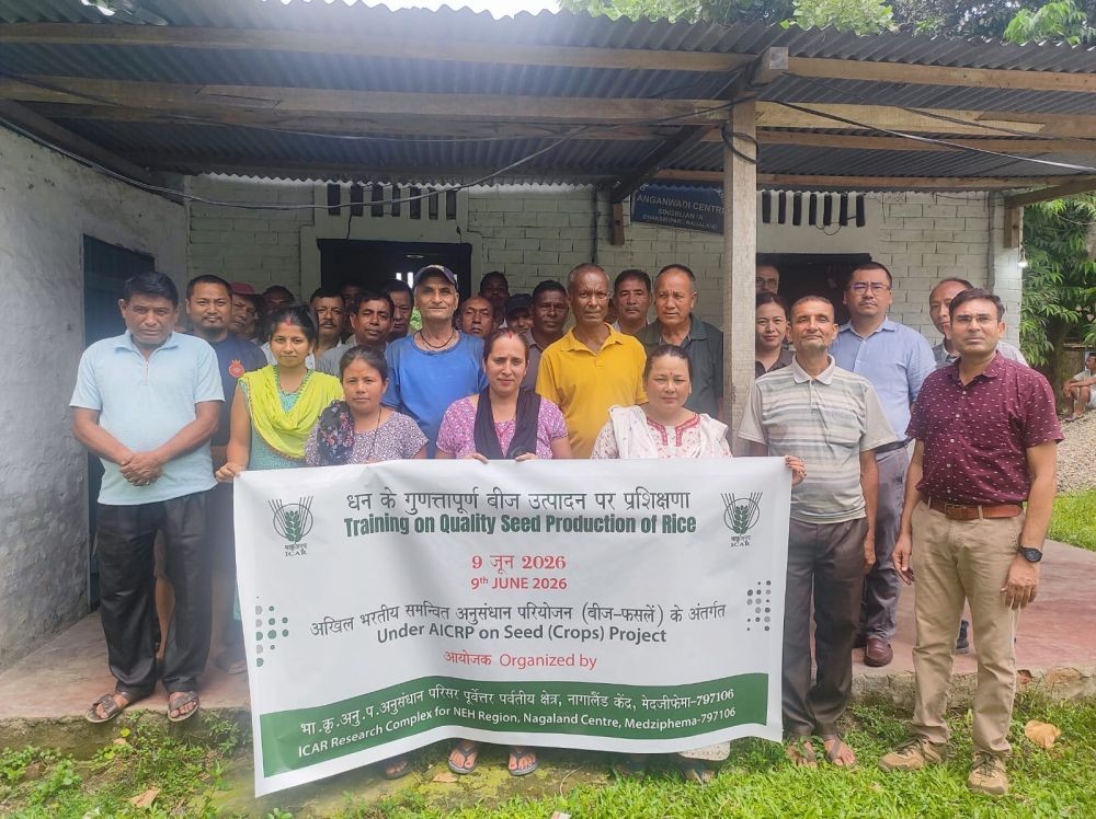 Participants of a farmer training programme on “Quality Seed Production of Rice” organised by the ICAR Research Complex for NEH Region, Nagaland Centre, Medziphema, at Singrijan Village, Chümoukedima, on June 9. (Photo Courtesy: ICAR NEH)